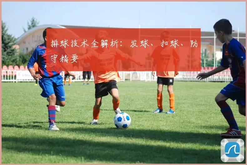 排球技术全解析：发球、扣球、防守精要