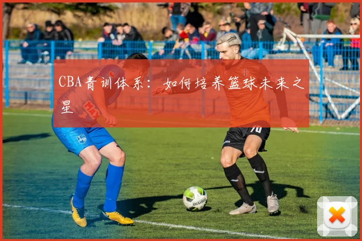 CBA青训体系：如何培养篮球未来之星