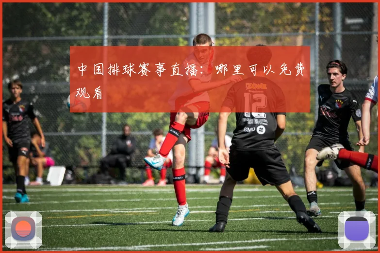中国排球赛事直播：哪里可以免费观看