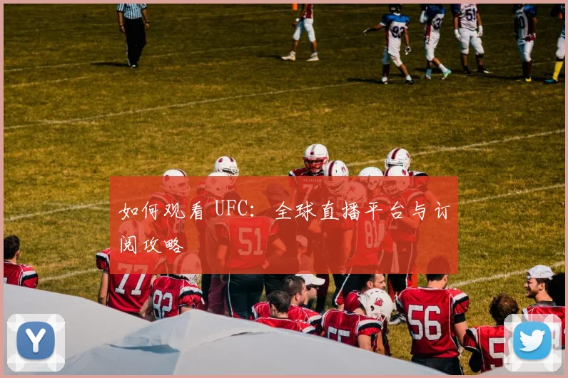 如何观看 UFC：全球直播平台与订阅攻略