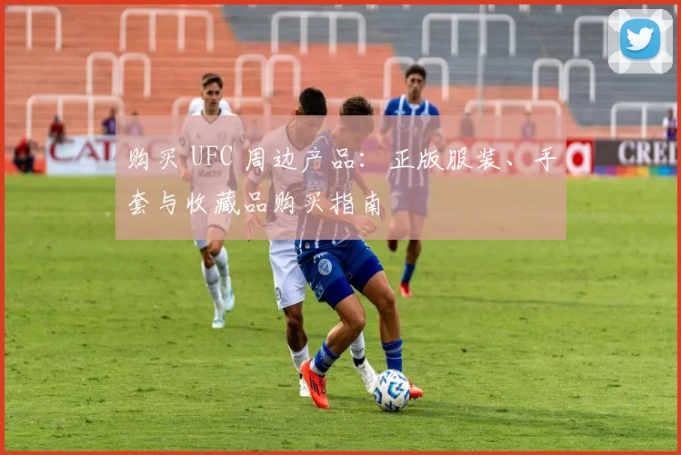 购买 UFC 周边产品：正版服装、手套与收藏品购买指南